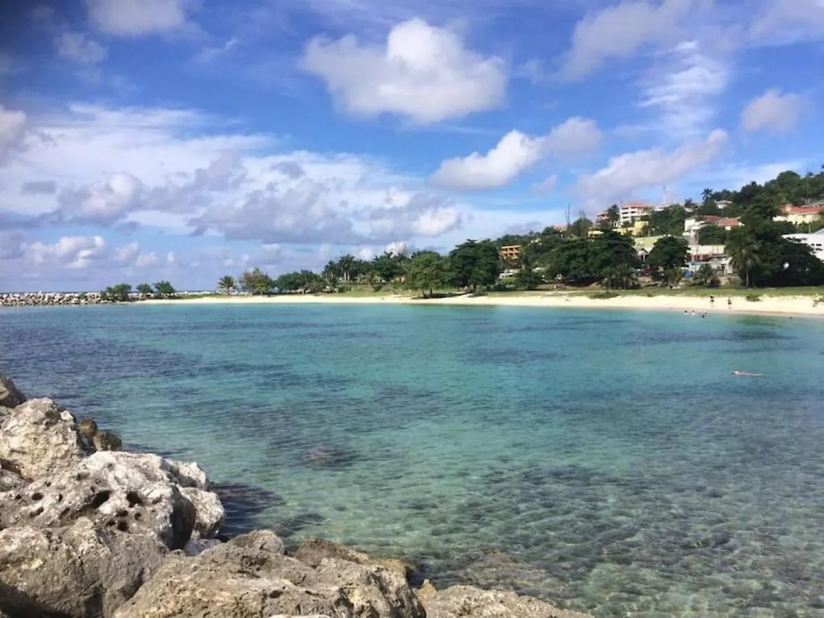 Suite 2A, Blue Pavilion - Steps To Seven Mile Beach -Value, Service, Comfort West Bay